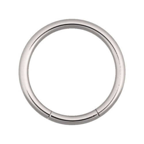 Anello segmentato argento in acciaio chirurgico, diametro 10mm, spessore 2,4mm