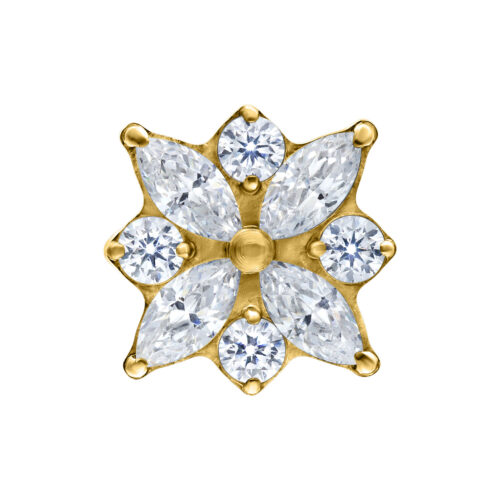 Terminale Push-Fit Crystal Blossom in titanio - Oro