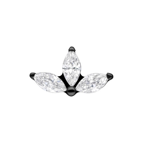 Terminale Push-Fit Crystal Lotus in Titanio - Nero