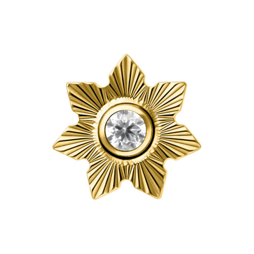 Terminale Push-Fit Jasmine in Titanio - Oro