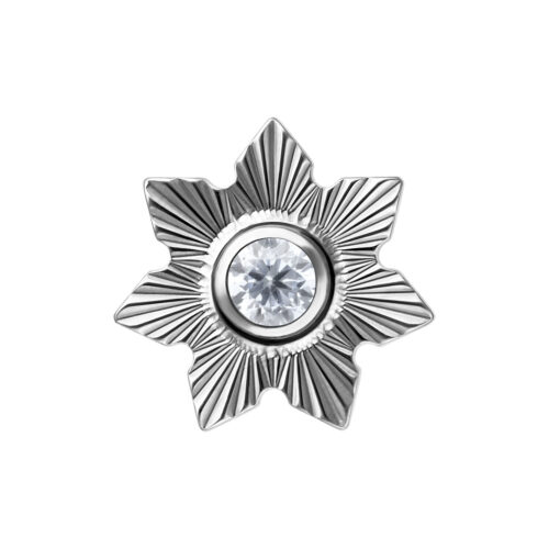 Terminale Push-Fit Jasmine in Titanio