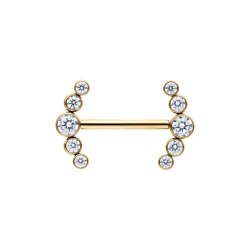 Penta Crystal Barbell in titanio