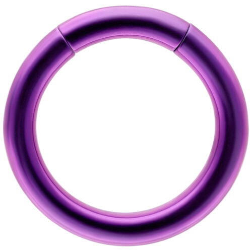 Violetter Segmentring aus Titan mit 1,2 mm Stärke und 8,0 mm Durchmesser auf weißem Hintergrund
