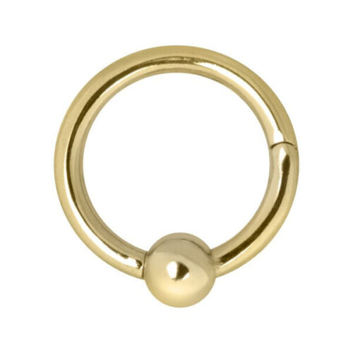 Hinged Ring Clip in acciaio dorato<!--5e5e7344bd687-->
