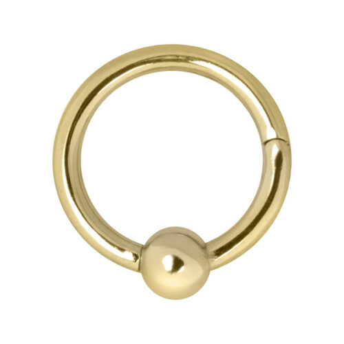 Hinged Ring Clip in acciaio dorato