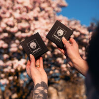 Due scatole nere con logo Wildcat, tenute da mani, davanti a un albero in fiore sullo sfondo