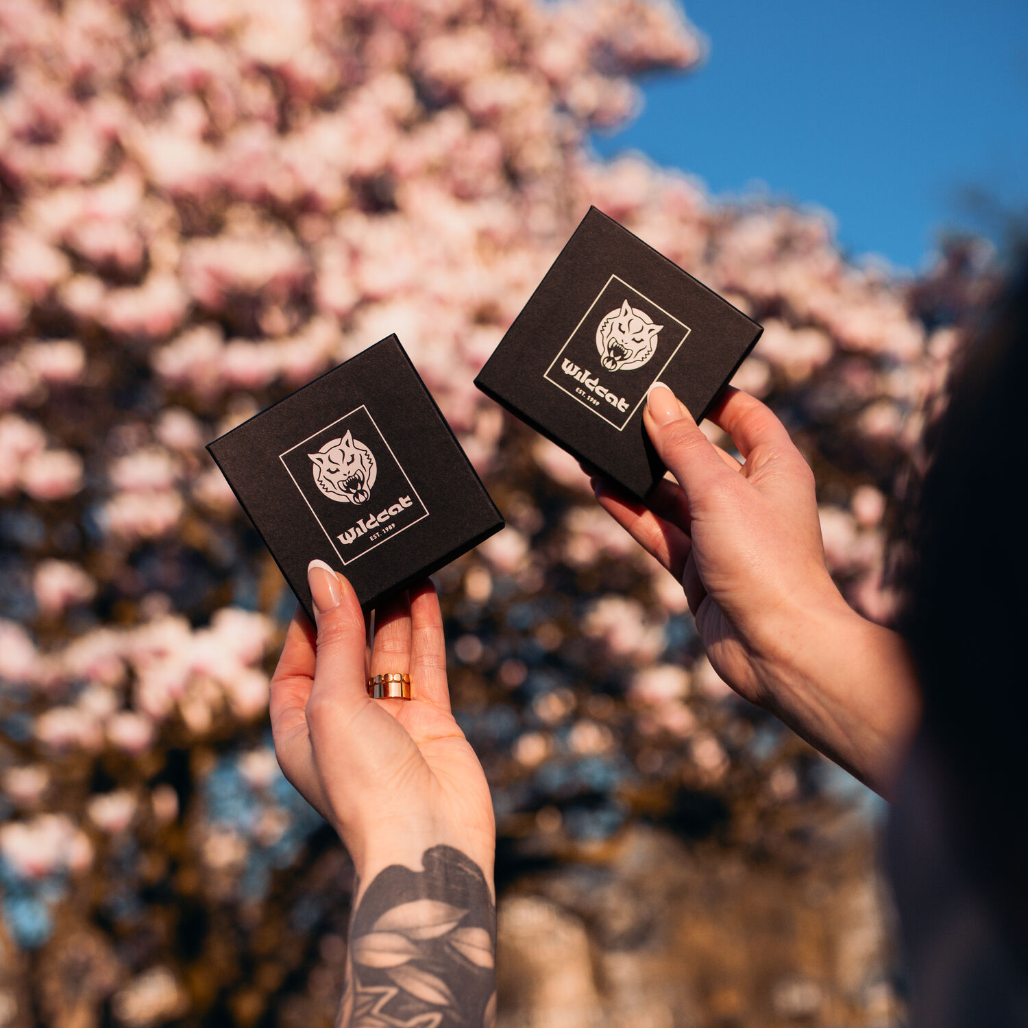 Due scatole nere con logo Wildcat, tenute da mani, davanti a un albero in fiore sullo sfondo